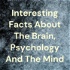 Interesting Facts About The Brain, Psychology And The Mind