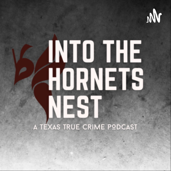 Artwork for Into the Hornets Nest