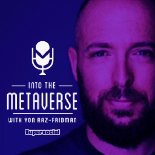 Artwork for Into the Metaverse