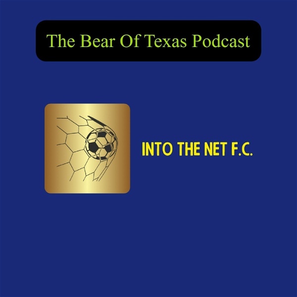 Artwork for Into The Net F.C.