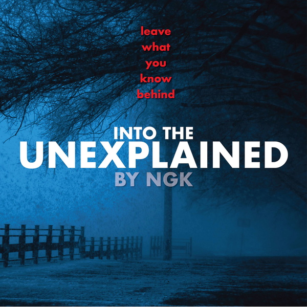 Artwork for Into The Unexplained by NGK