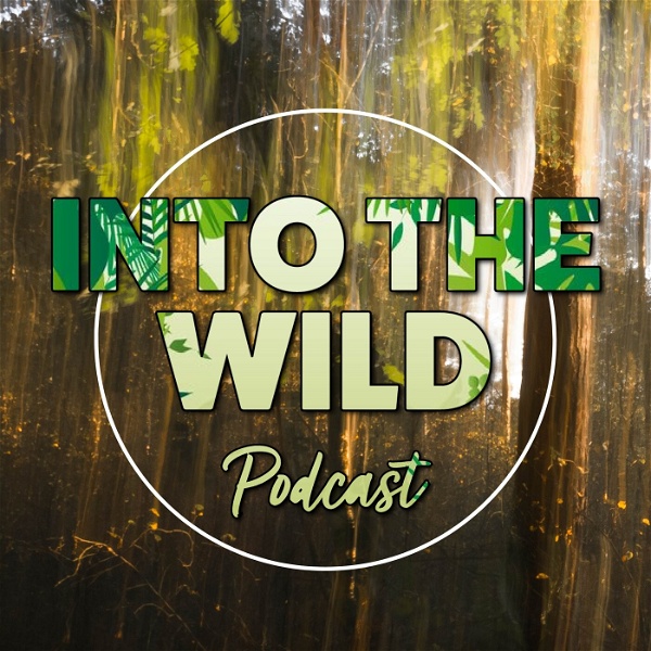 Artwork for Into The Wild