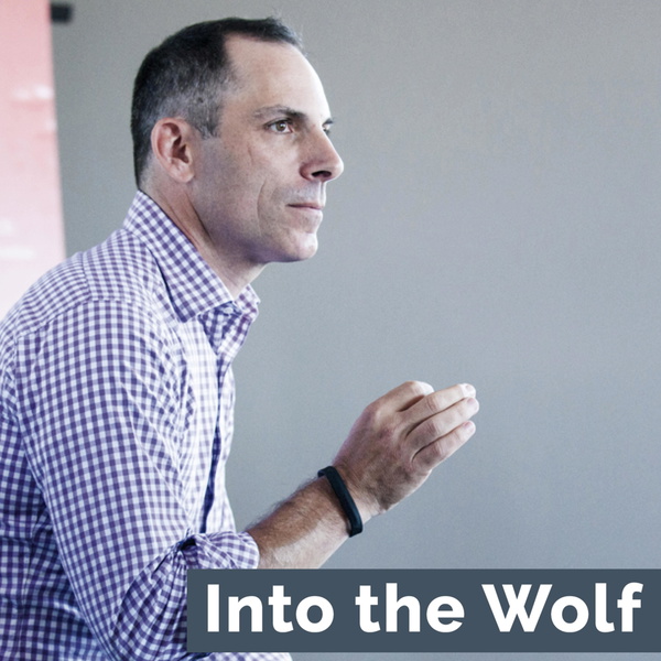 Artwork for Into the Wolf