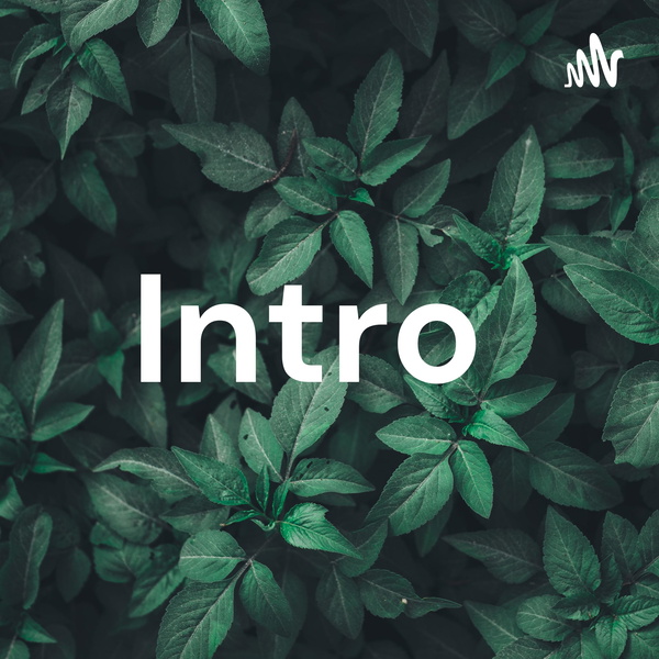 Artwork for Intro
