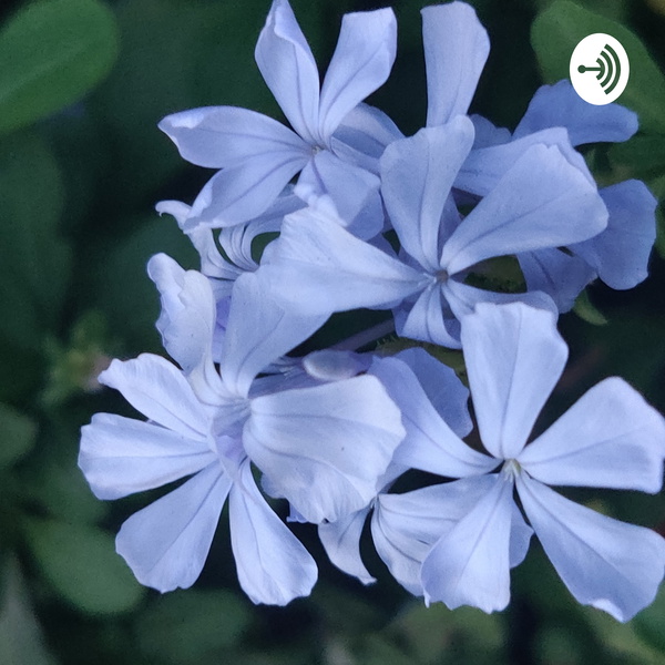 Artwork for Introduction