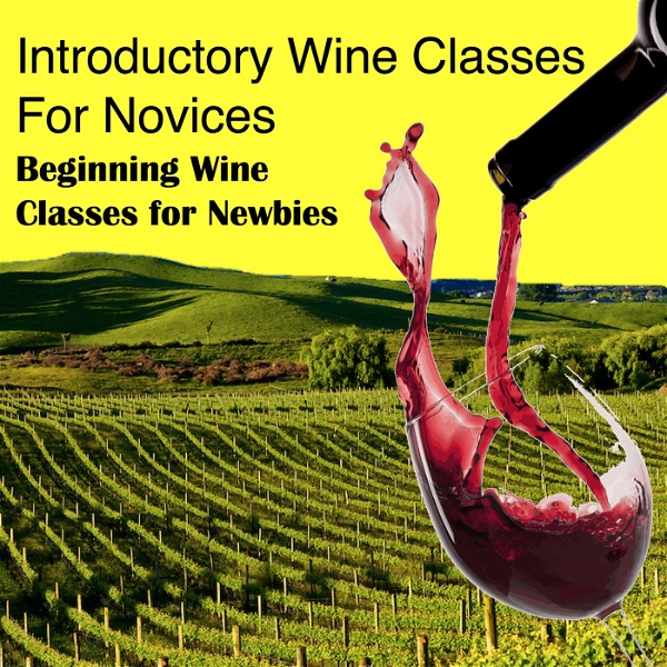Artwork for Introductory Wine Classes for Novices