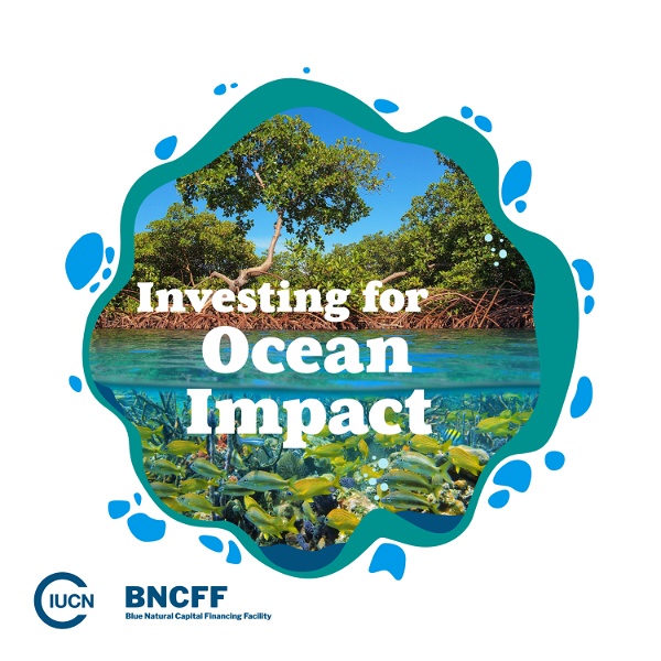Artwork for Investing For Ocean Impact