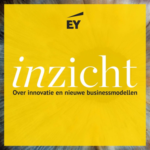 Artwork for Inzicht: over innovatie en nieuwe businessmodellen