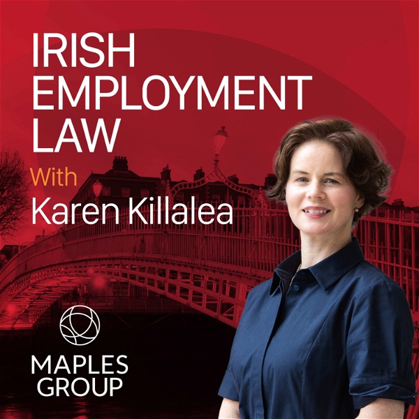 Artwork for Irish Employment Law