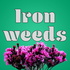 Ironweeds