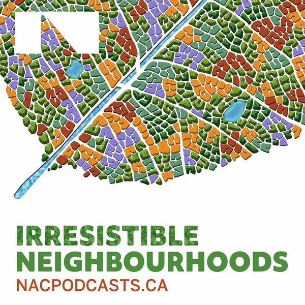 Artwork for Irresistible Neighbourhoods