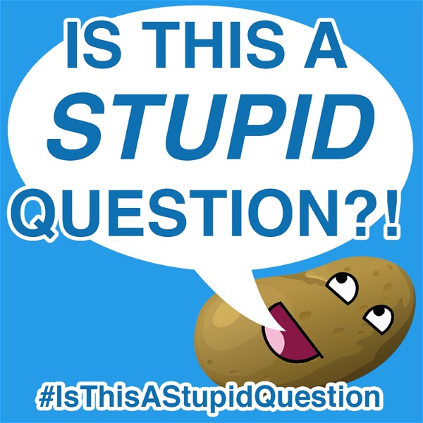 Artwork for Is This a Stupid Question?! Podcast