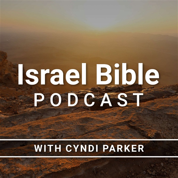Artwork for Israel Bible Podcast