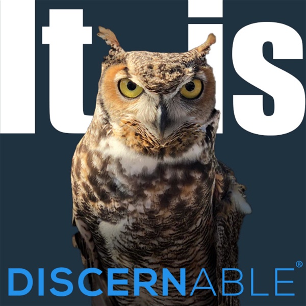 Artwork for It is Discernable®