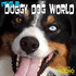 It's A Doggy Dog World - Dog Podcast - Pet Life Radio Original