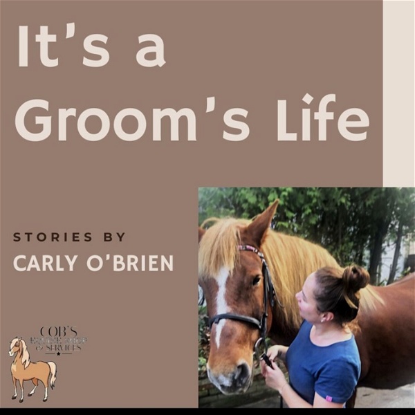 Artwork for It's A Grooms Life