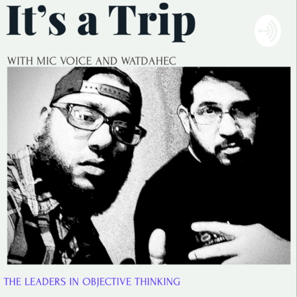 Artwork for IT’S A TRIP