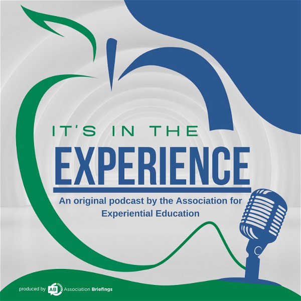 Artwork for It’s In the Experience