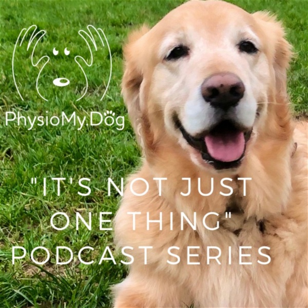 Artwork for "It's Not Just One Thing .... That Will Help Your Dog Feel & Move Better" by PhysioMyDog