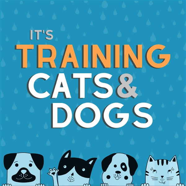 Artwork for It's Training Cats and Dogs!