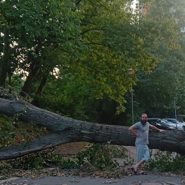 Artwork for izNenada