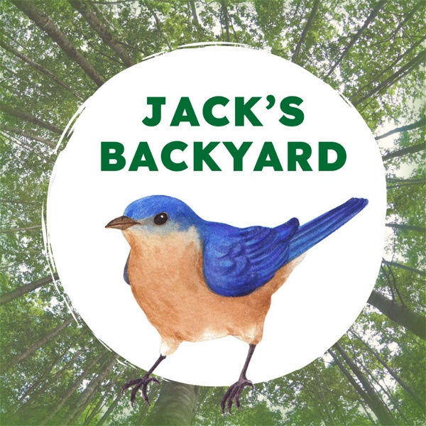Artwork for Jack's Backyard