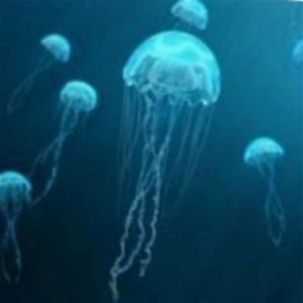 Artwork for Jellyfish