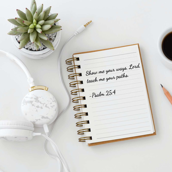 Artwork for The Authentic Disciple