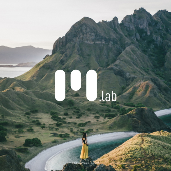 Artwork for Peacemaker Lab