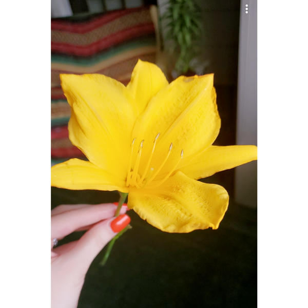 Listener Numbers, Contacts, Similar Podcasts - jon