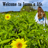 Welcome to Jonna`s life.