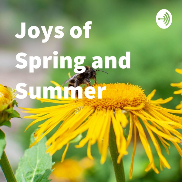 Artwork for Joys of Spring and Summer