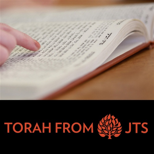 Artwork for JTS Torah Commentary