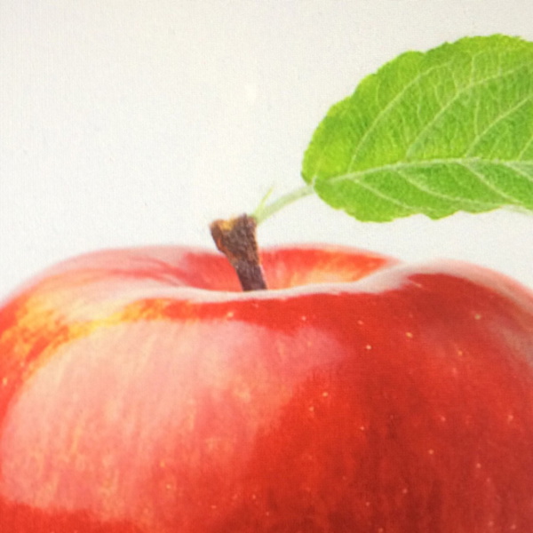 Artwork for Just the Kid