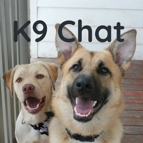 Artwork for K9 Chat
