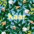 Kaas