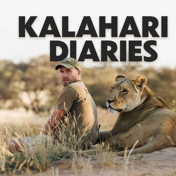 Artwork for Kalahari Diaries