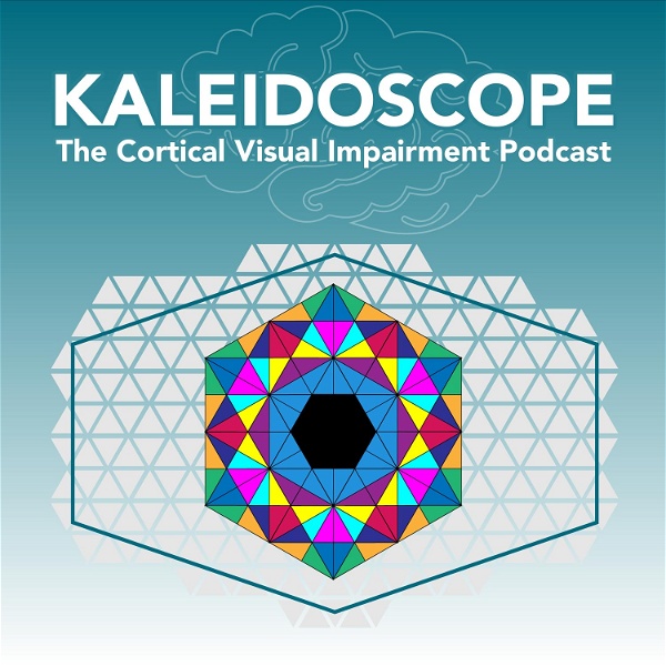 Artwork for Kaleidoscope: The Cortical Visual Impairment Podcast