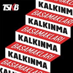 Artwork for Kalkınma Basamakları