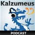Kalzumeus Software