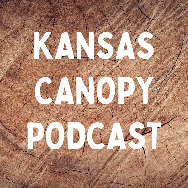 Artwork for Kansas Canopy