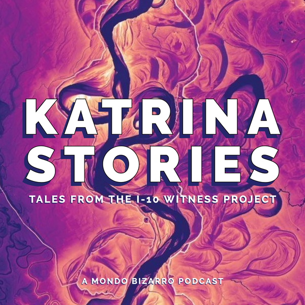 Artwork for Katrina Stories