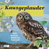 Kauzgeplauder