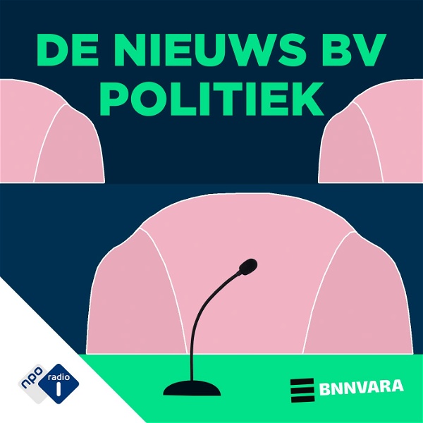 Artwork for De Nieuws BV Politiek
