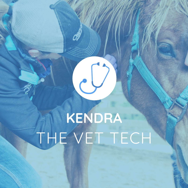 Artwork for Kendra the Vet Tech