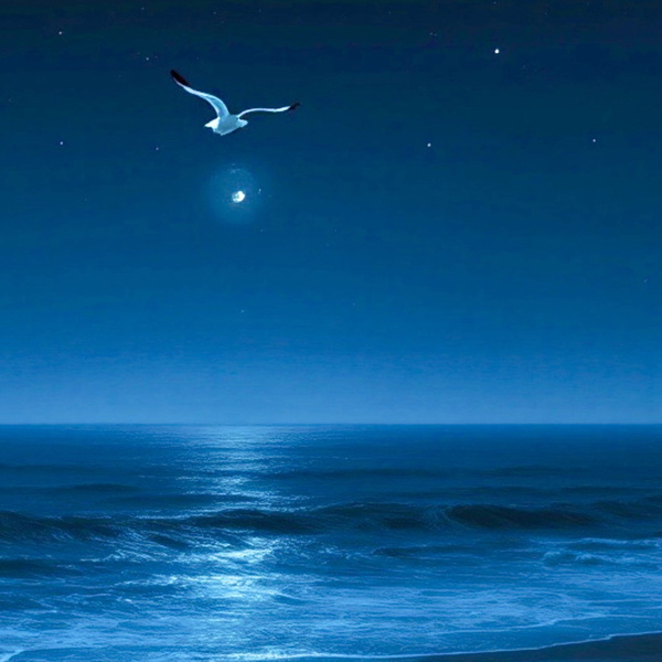 Artwork for Key Insights on Dimensions of life by Peter Cobbe