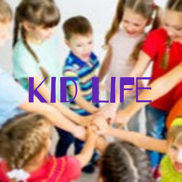 Artwork for Kid Life