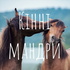 Кінні мандри (люди і коні)