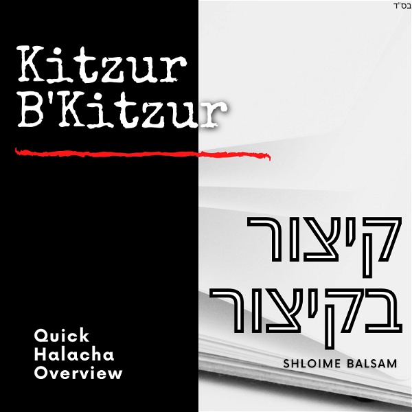 Artwork for Kitzur B'Kitzur Halacha
