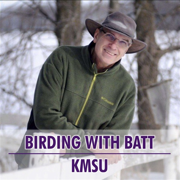 Artwork for KMSU Birding With Batt